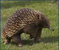 http://farm5.static.flickr.com/4147/5066265085_5e42953beb_b.jpg